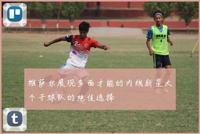 维萨尔展现多面才能的内线新星大个子球队的绝佳选择