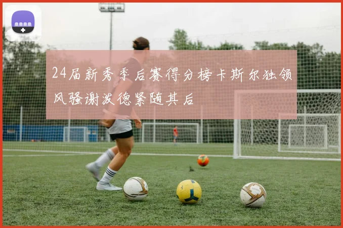 24届新秀季后赛得分榜卡斯尔独领风骚谢泼德紧随其后