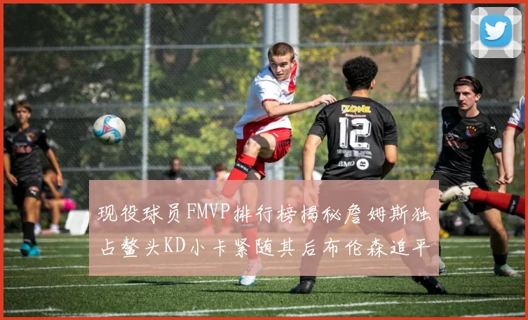 现役球员FMVP排行榜揭秘詹姆斯独占鳌头KD小卡紧随其后布伦森追平库里约基奇等